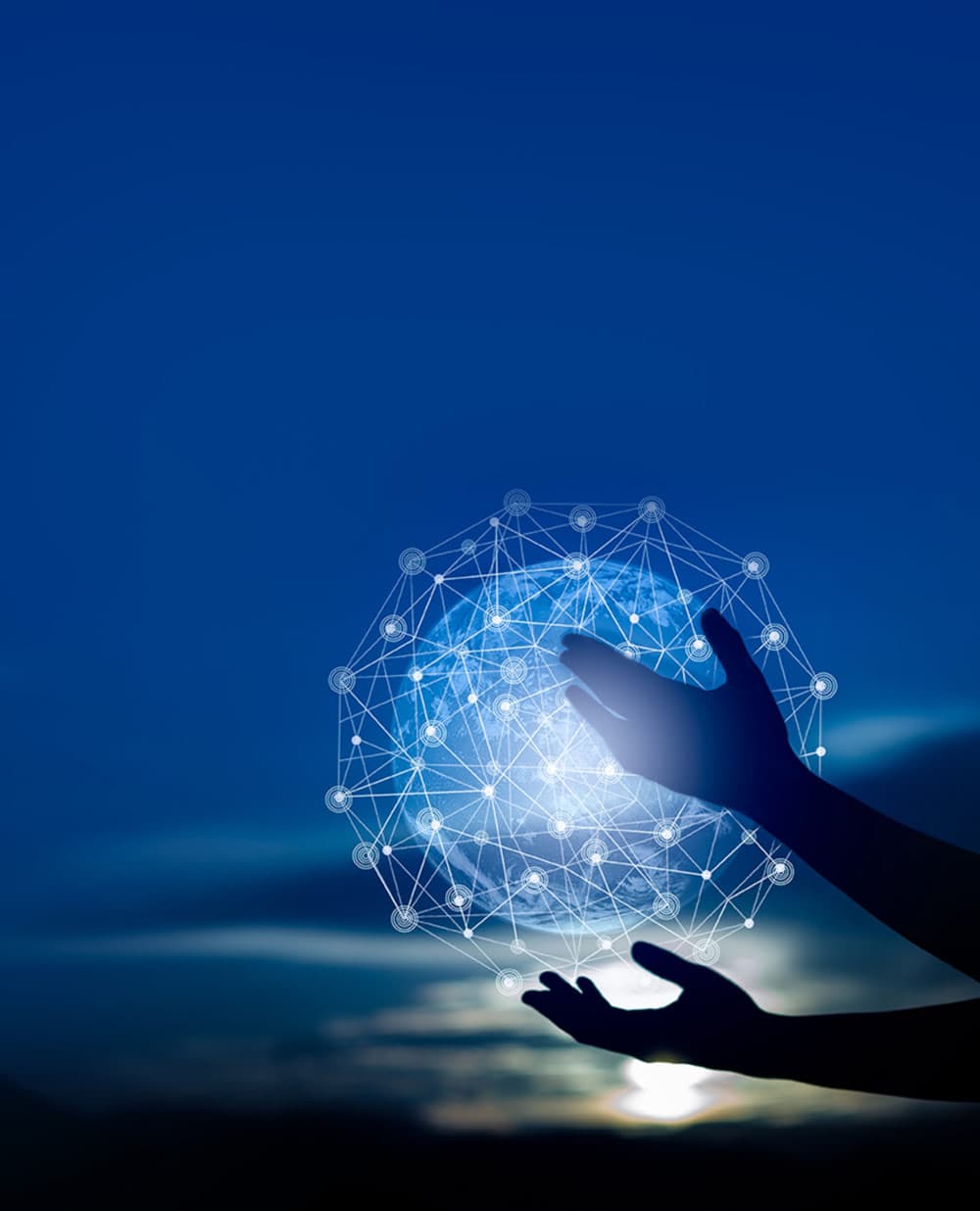 Zamara Online Portal